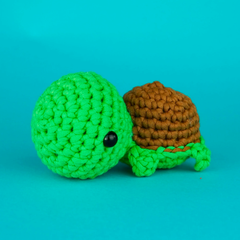 Passport Pals Bundle