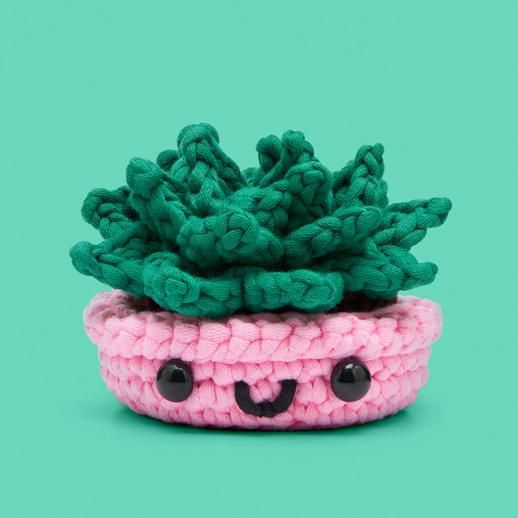 Jade the Succulent Crochet Kit
