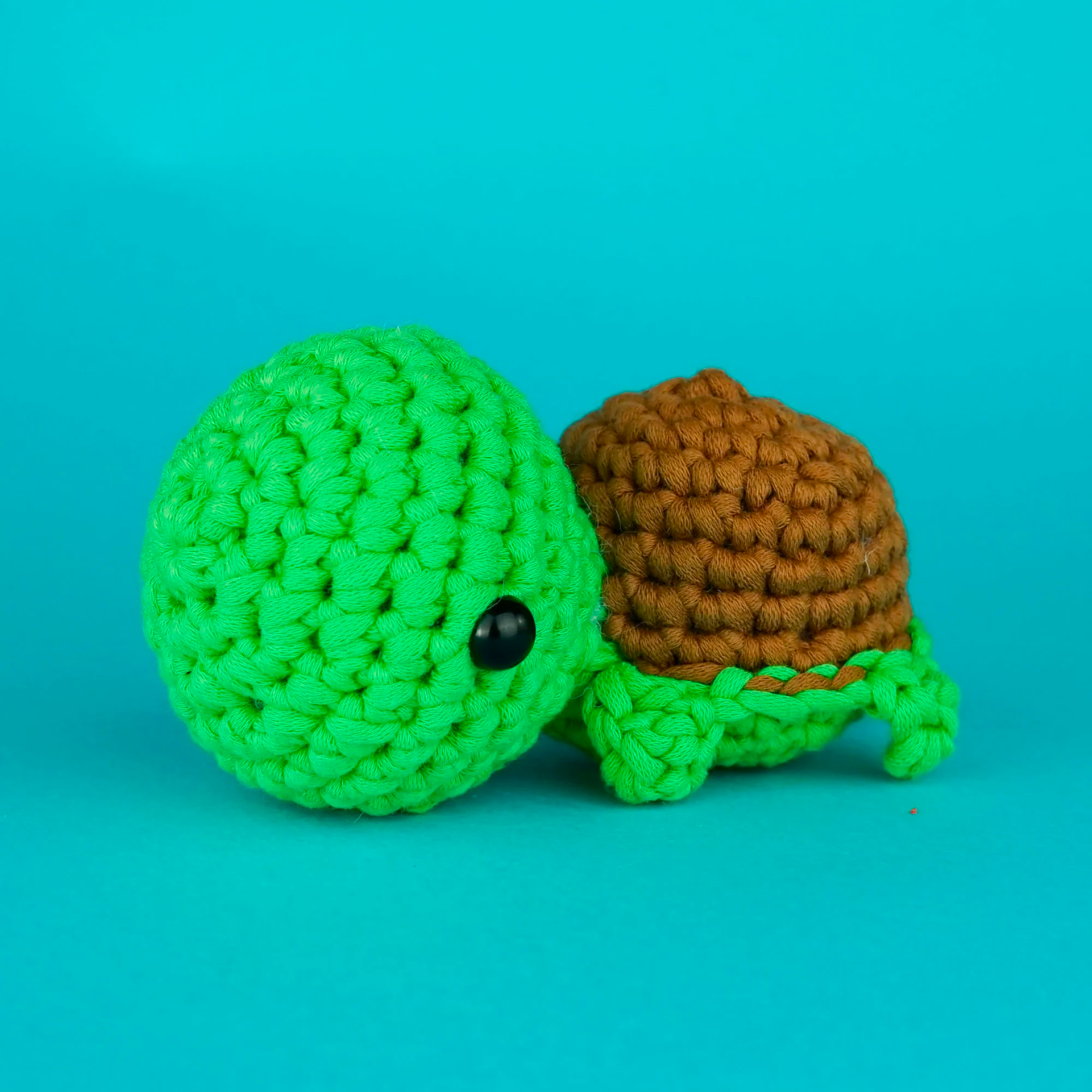 Passport Pals Bundle